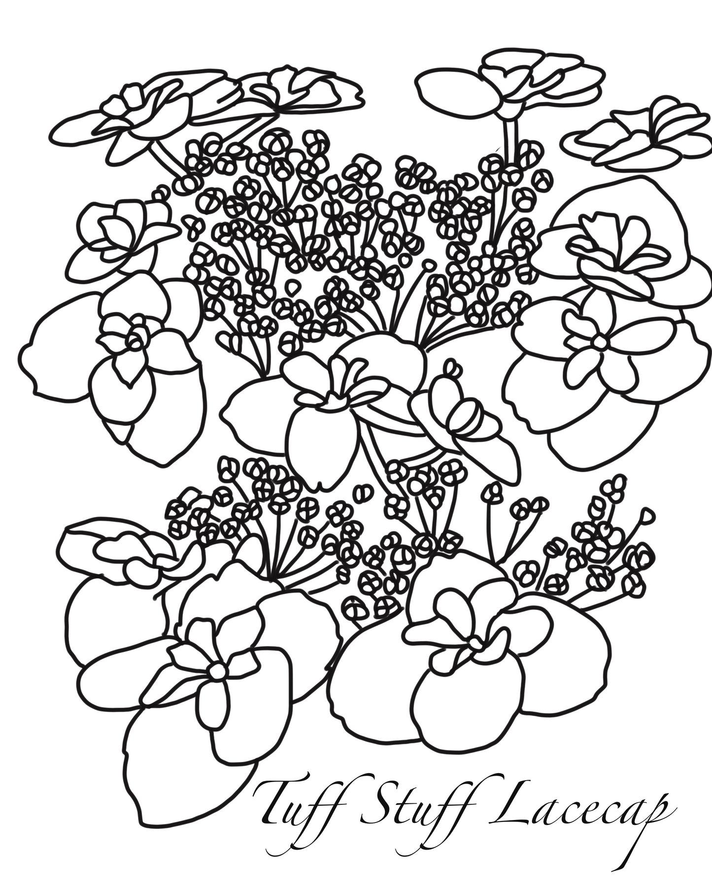 Hydrangea Coloring Book